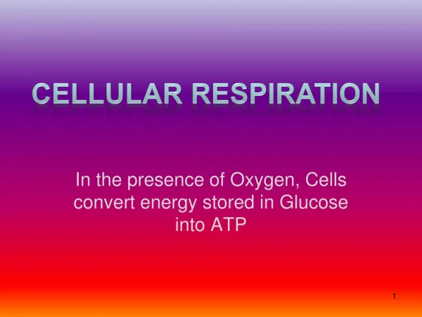 In the presence of Oxygen, Cells convert energy stored in Glucose into ATP
