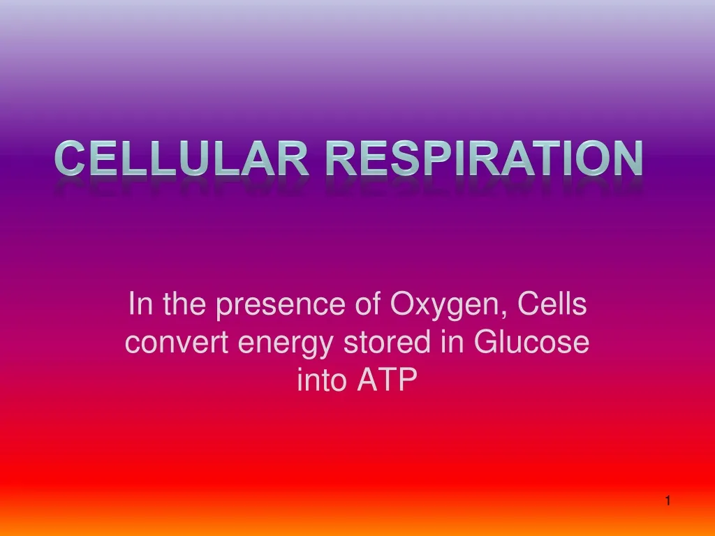 in the presence of oxygen cells convert energy stored in glucose into atp