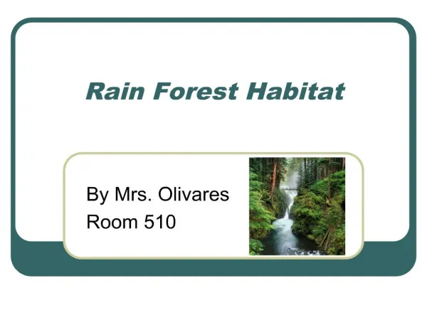 rain forest habitat