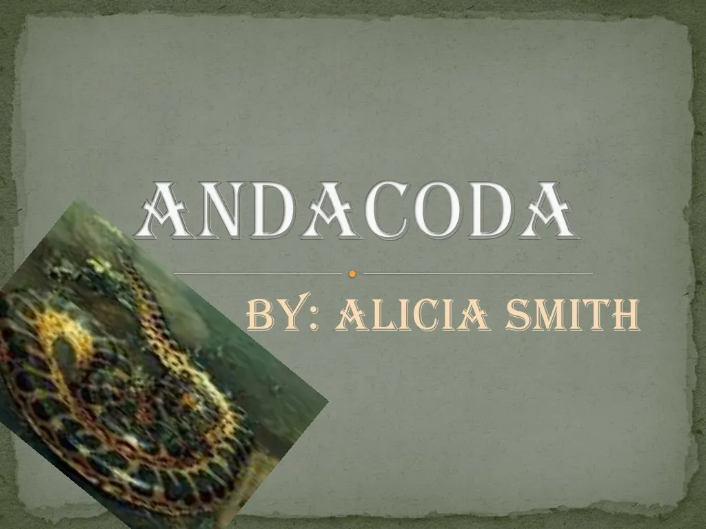 andacoda