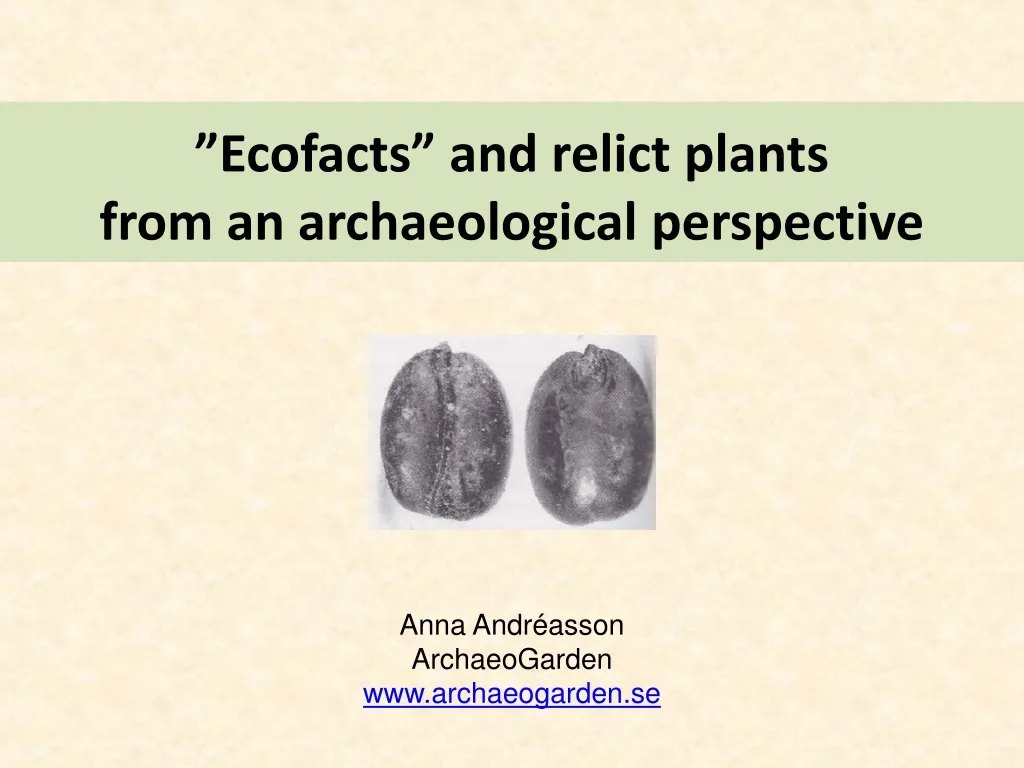 ecofacts and relict plants from an archaeological