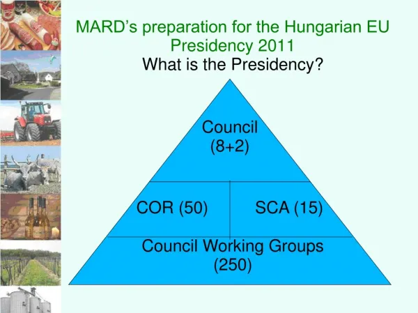 MARD’s preparation for the Hungarian EU Presidency 2011 What is the Presidency?
