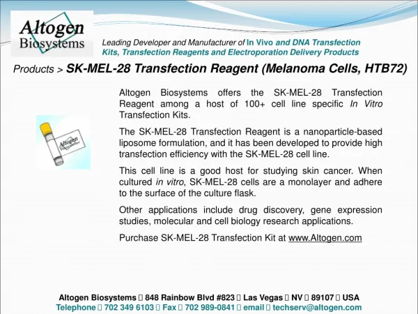 Products &gt; SK-MEL-28 Transfection Reagent (Melanoma Cells, HTB72)