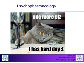 psychopharmacology - slide 1