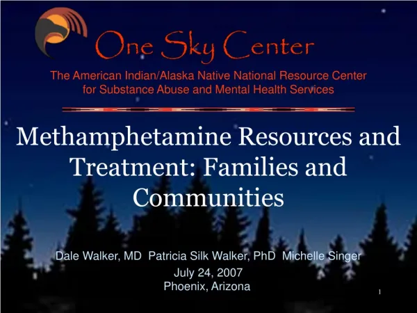 Methamphetamine Resources and Treatment: Families and Communities