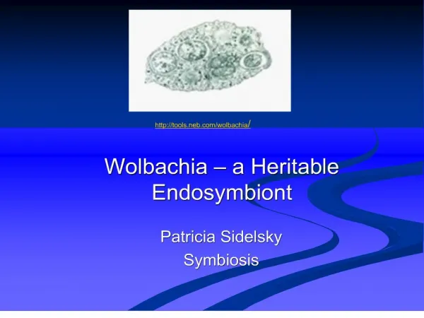 wolbachia a heritable endosymbiont