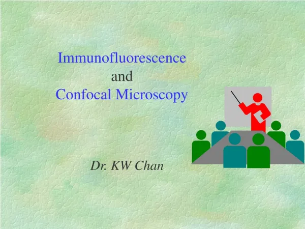 Immunofluorescence and Confocal Microscopy
