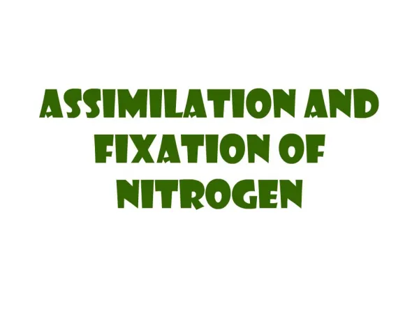 assimilation and fixation of nitrogen