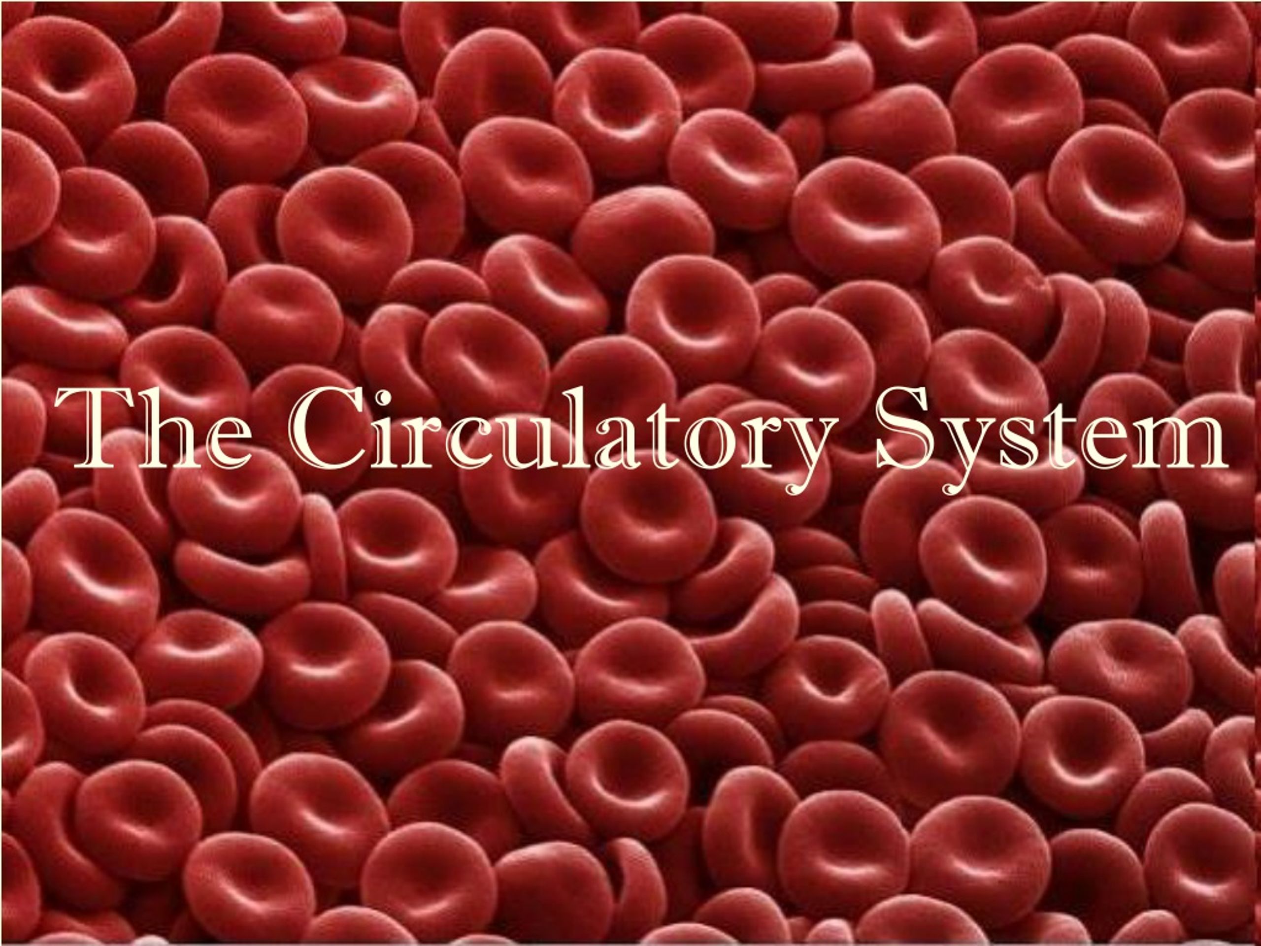 PPT - The Circulatory System PowerPoint Presentation, free download ...