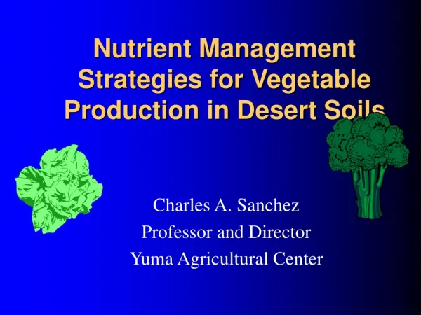 Nutrient Management Strategies for Vegetable Production in Desert Soils