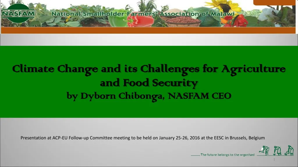 climate change and its challenges for agriculture and food security by dyborn chibonga nasfam ceo