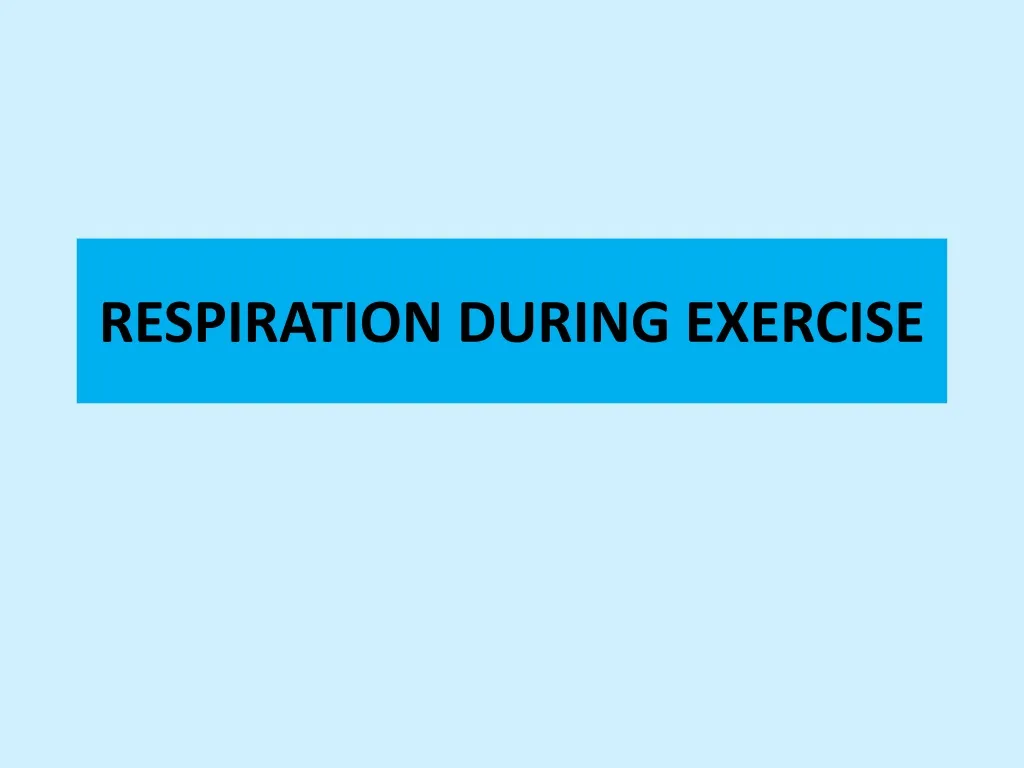 respiration during exercise
