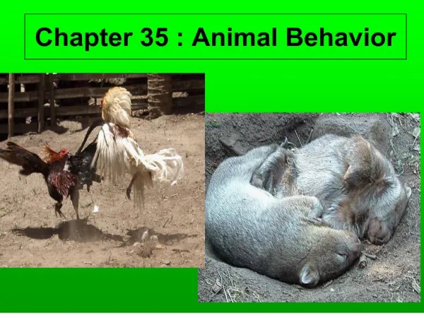 chapter 35 : animal behavior