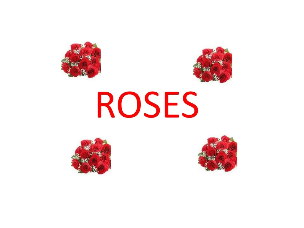 roses