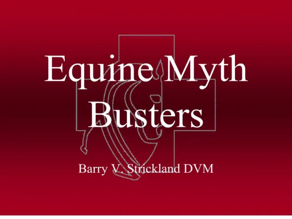 equine myth busters