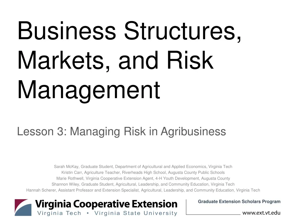 business structures markets and risk management