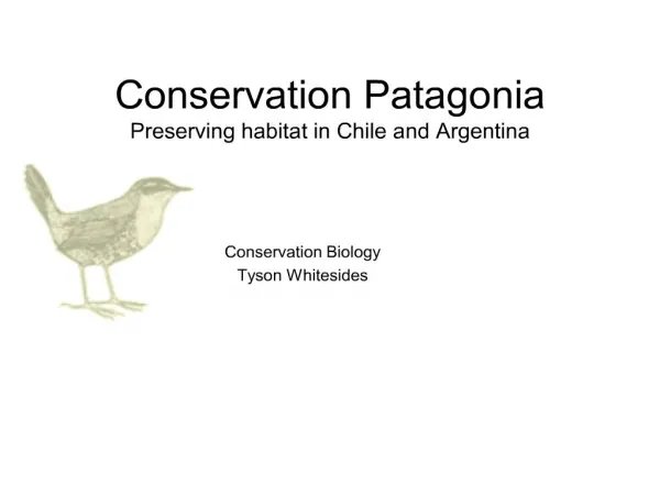 conservation patagonia preserving habitat in chile and argentina