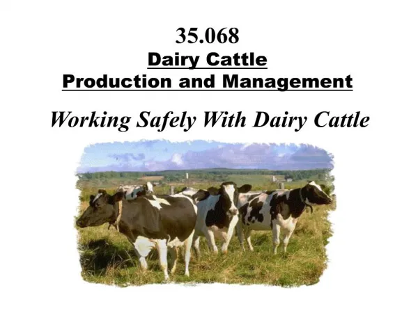 35.068 dairy cattle production and management