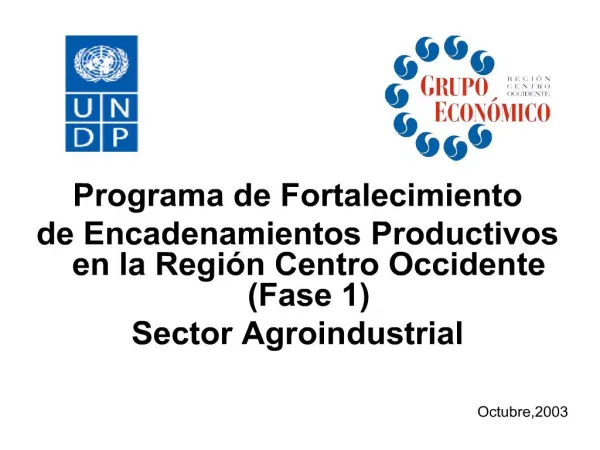 programa de fortalecimiento de encadenamientos productivos en la regi n centro occidente fase 1 sector agroindustrial