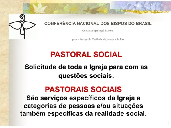 confer ncia nacional dos bispos do brasil comiss o episcopal pastoral para o servi o da caridade, da justi a e da paz