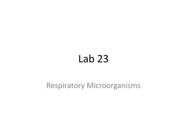 Lab 23