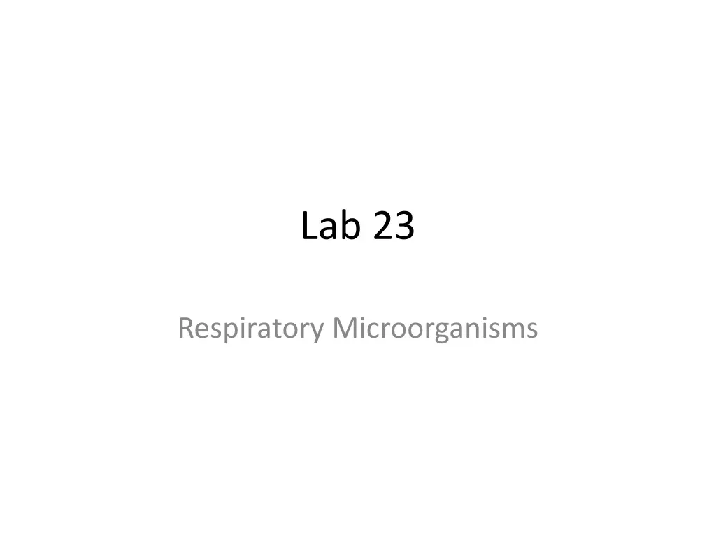 lab 23