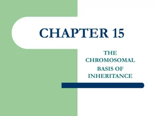 CHAPTER 15