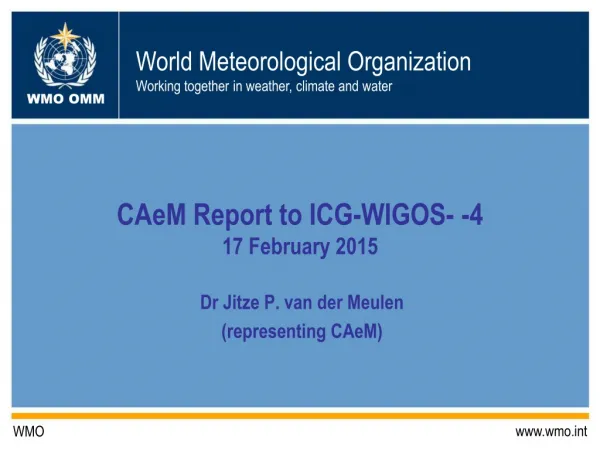 CAeM Report to ICG-WIGOS- -4 17 February 2015