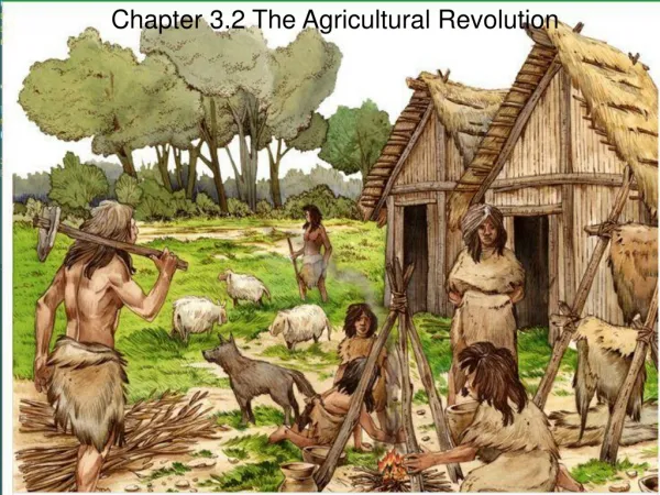 Chapter 3.2 The Agricultural Revolution