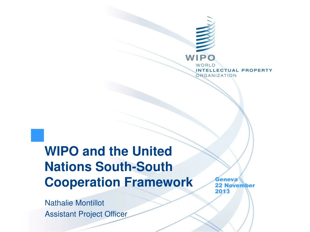 wipo and the united nations south south cooperation framework