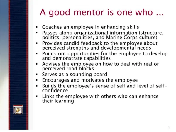 A good mentor is one who ...