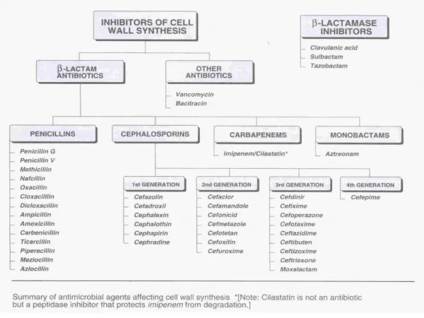 CARBAPENEMS