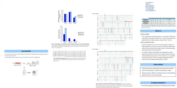 Analysis of HCV E1E2 Sequences From Infectious and Noninfectious Pseudovirus Kim A. Dowd, Dale Netski, Xiao- Hong Wang,