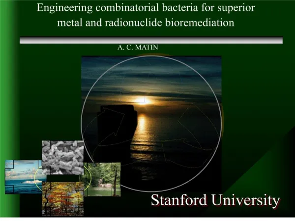 Shi Dalal, using ESR, showed that many enzymes e.g., lipoyl dehydrogenase, glutathione reductase, and cytochrome b5 red