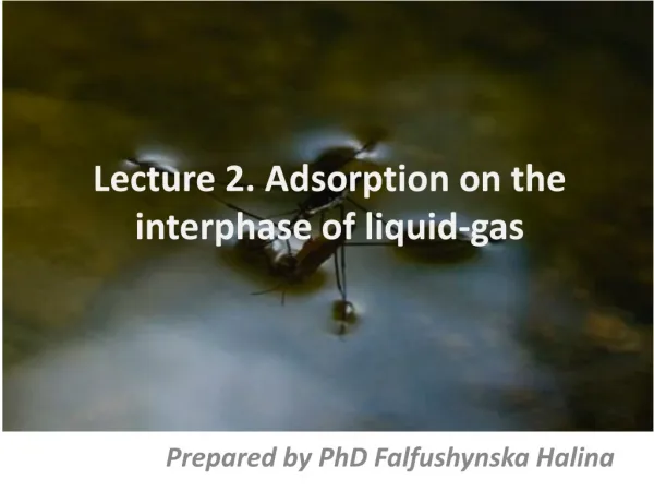 Lecture 2. Adsorption on the interphase of liquid-gas
