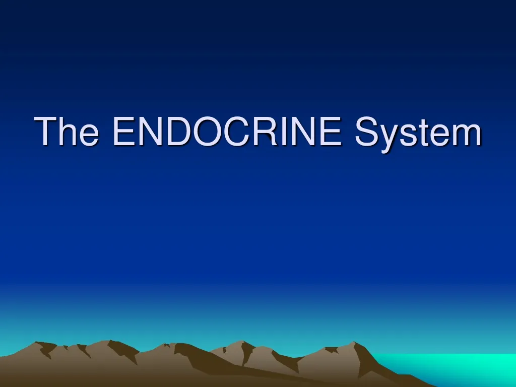 the endocrine system