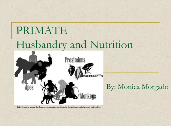 PRIMATE Husbandry and Nutrition