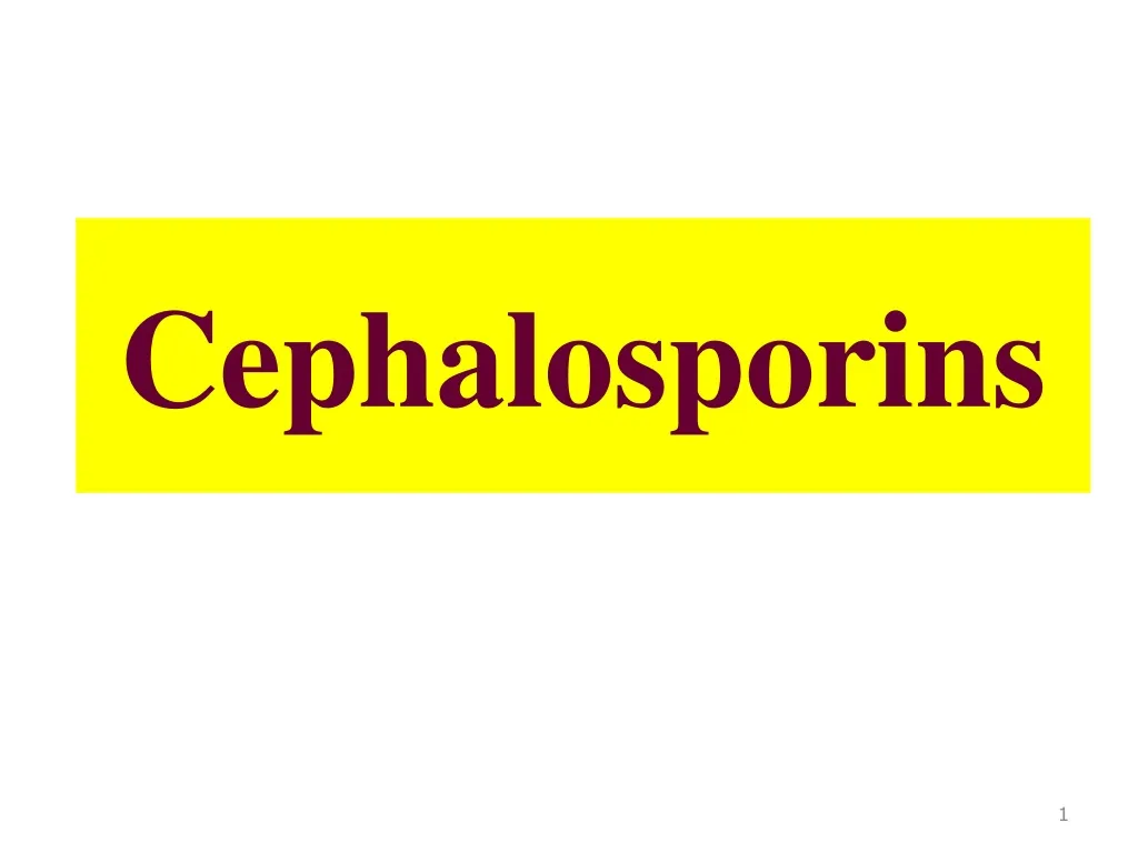 cephalosporins