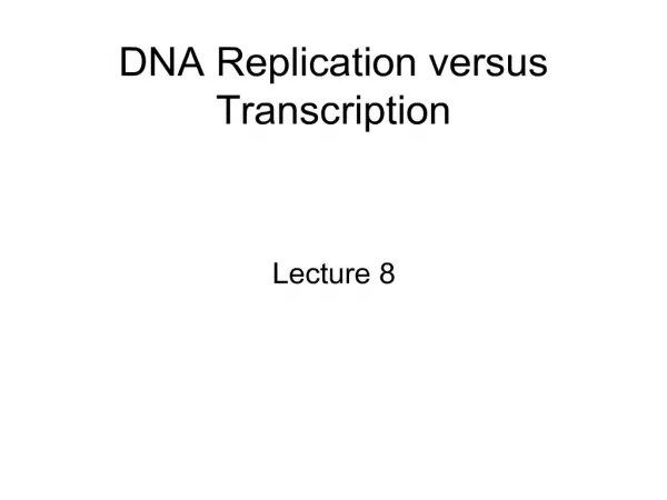 DNA Replication versus Transcription