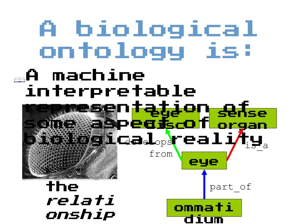 a biological ontology is