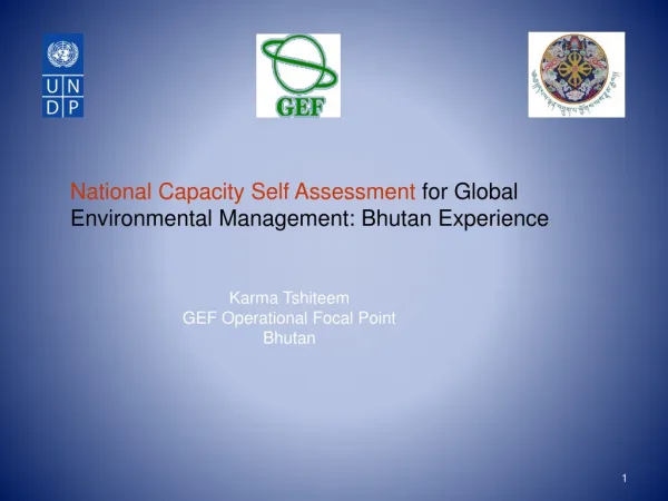 National Capacity Self Assessment for Global Environmental Management: Bhutan Experience