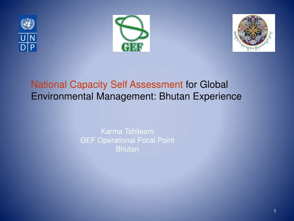 national capacity self assessment for global