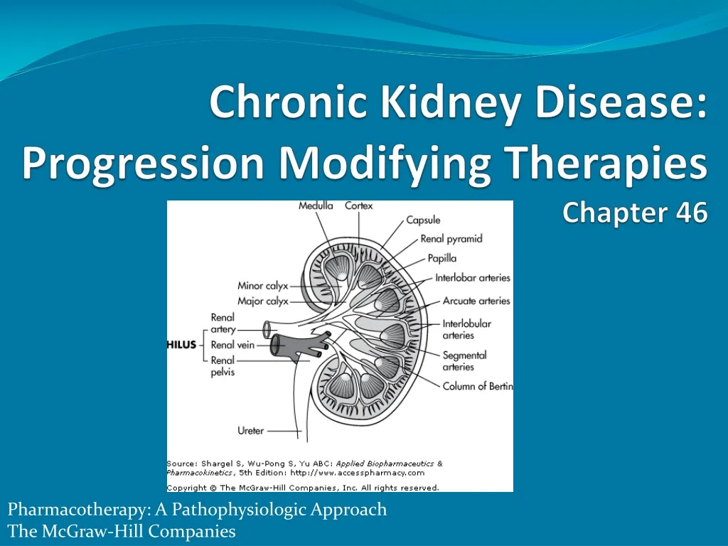 chronic kidney disease progression modifying therapies chapter 46