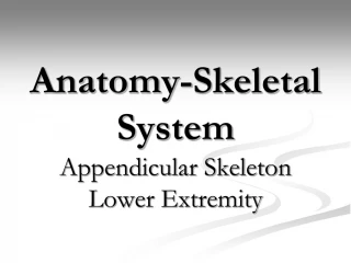 Anatomy-Skeletal System - slide 1