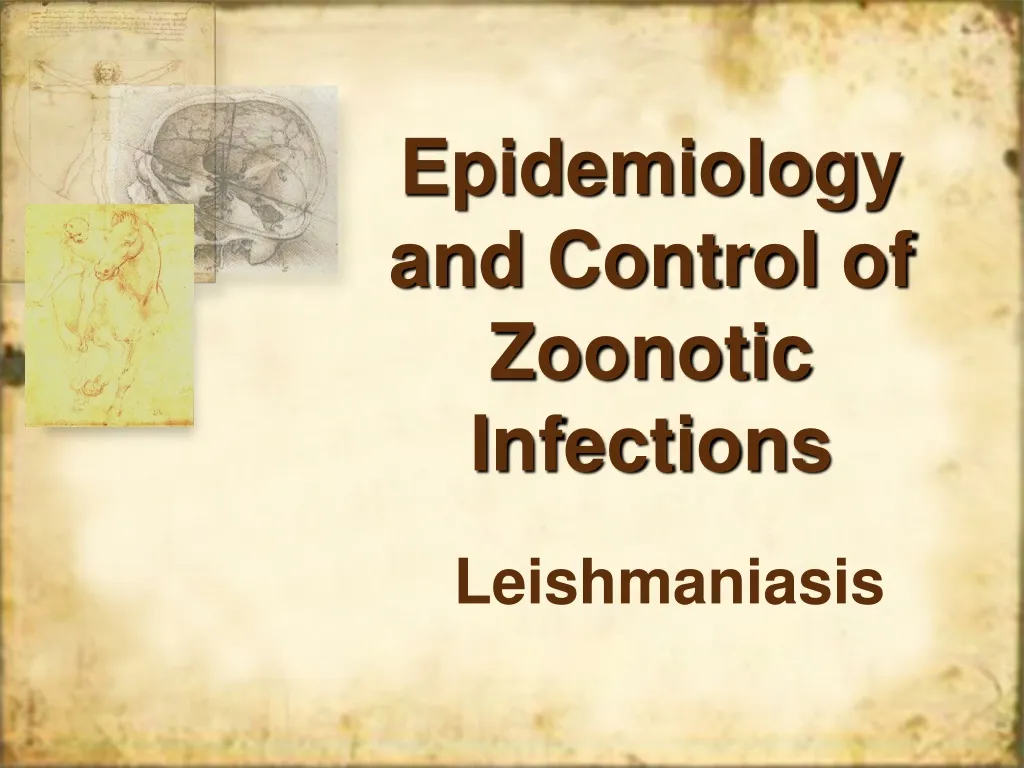 epidemiology and control of zoonotic infections