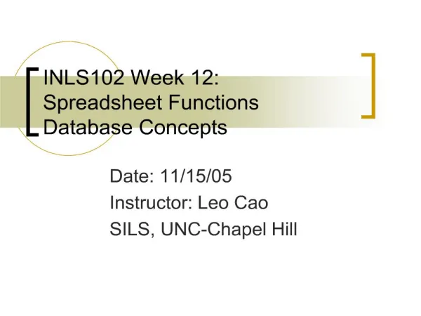 INLS102 Week 12: Spreadsheet Functions Database Concepts