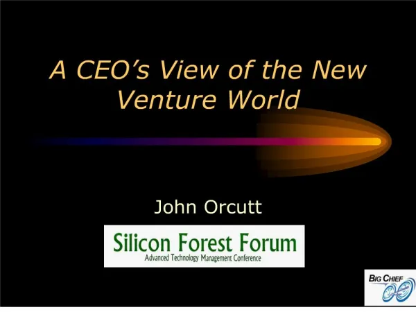 A CEO s View of the New Venture World