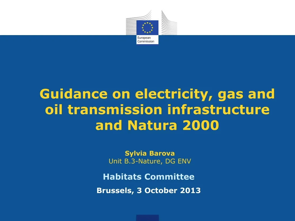 guidance on electricity gas and oil transmission infrastructure and natura 2000
