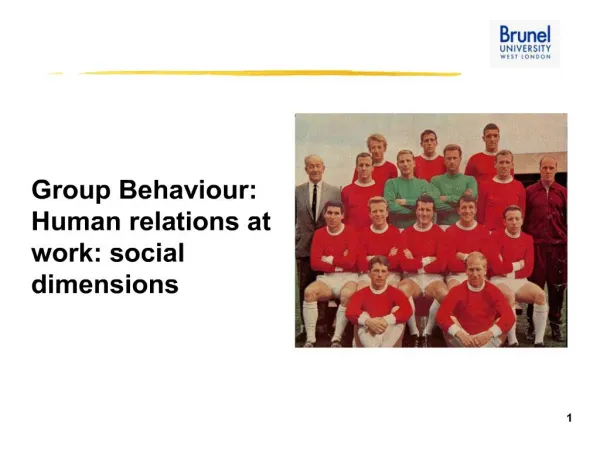 Group Behaviour: Human relations at work: social dimensions