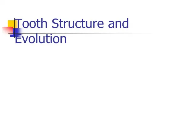 Tooth Structure and Evolution